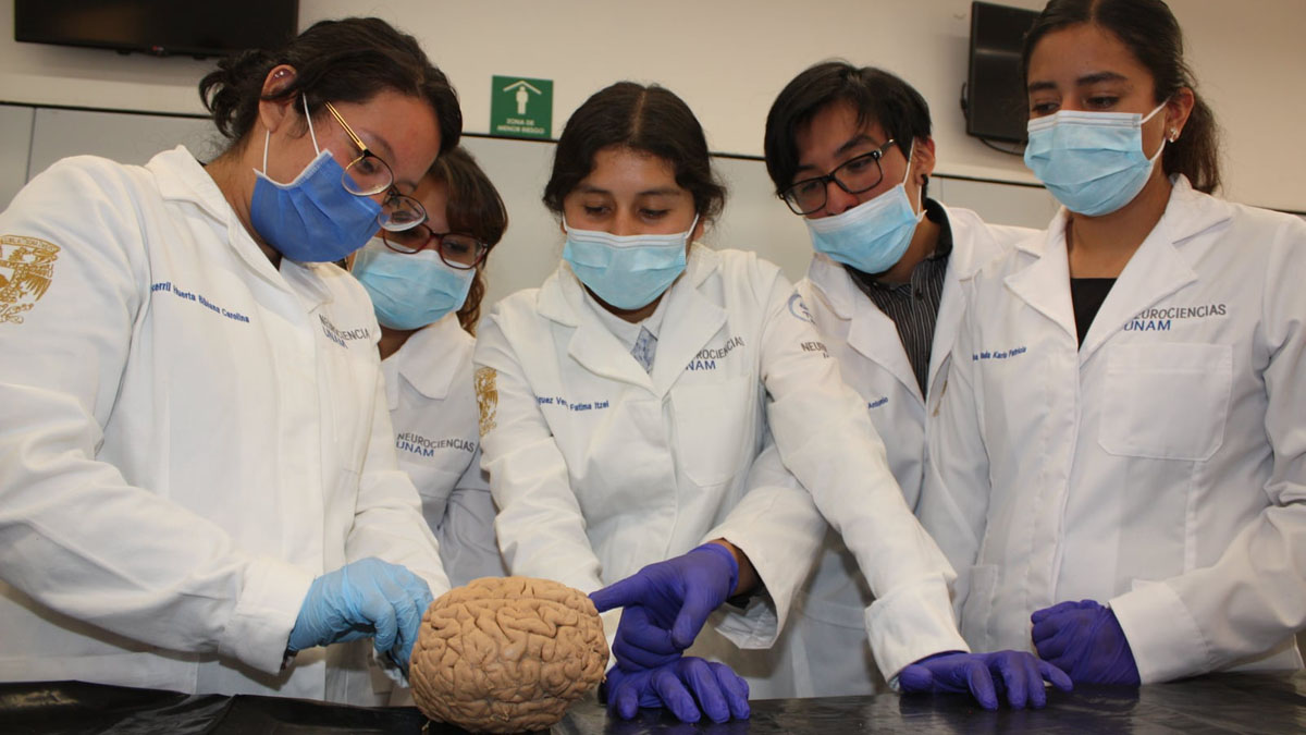 Universidades en CDMX reanudan actividades relacionadas a Ciencias de la Salud