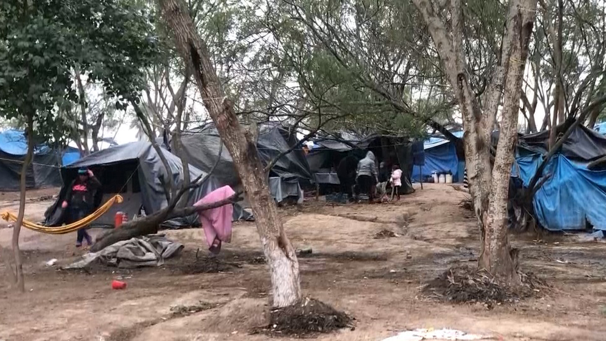 Prioridad de EE.UU. será cerrar campamento de migrantes en Matamoros: Jacobson