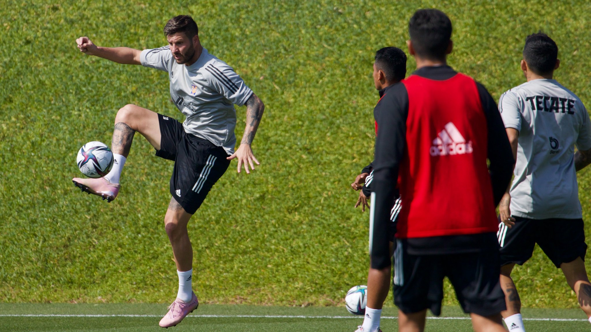 Esto es Tigres - estoestigres4