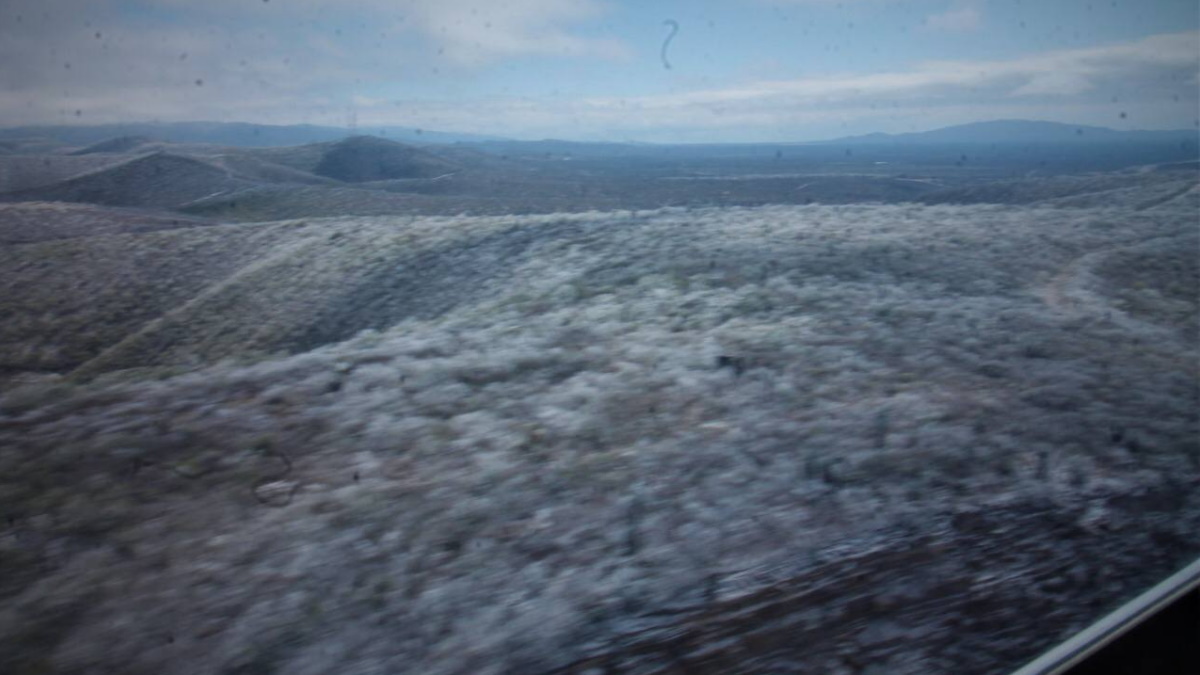 Reportan en Nuevo León nuevos cortes de luz pese a restablecimiento del servicio