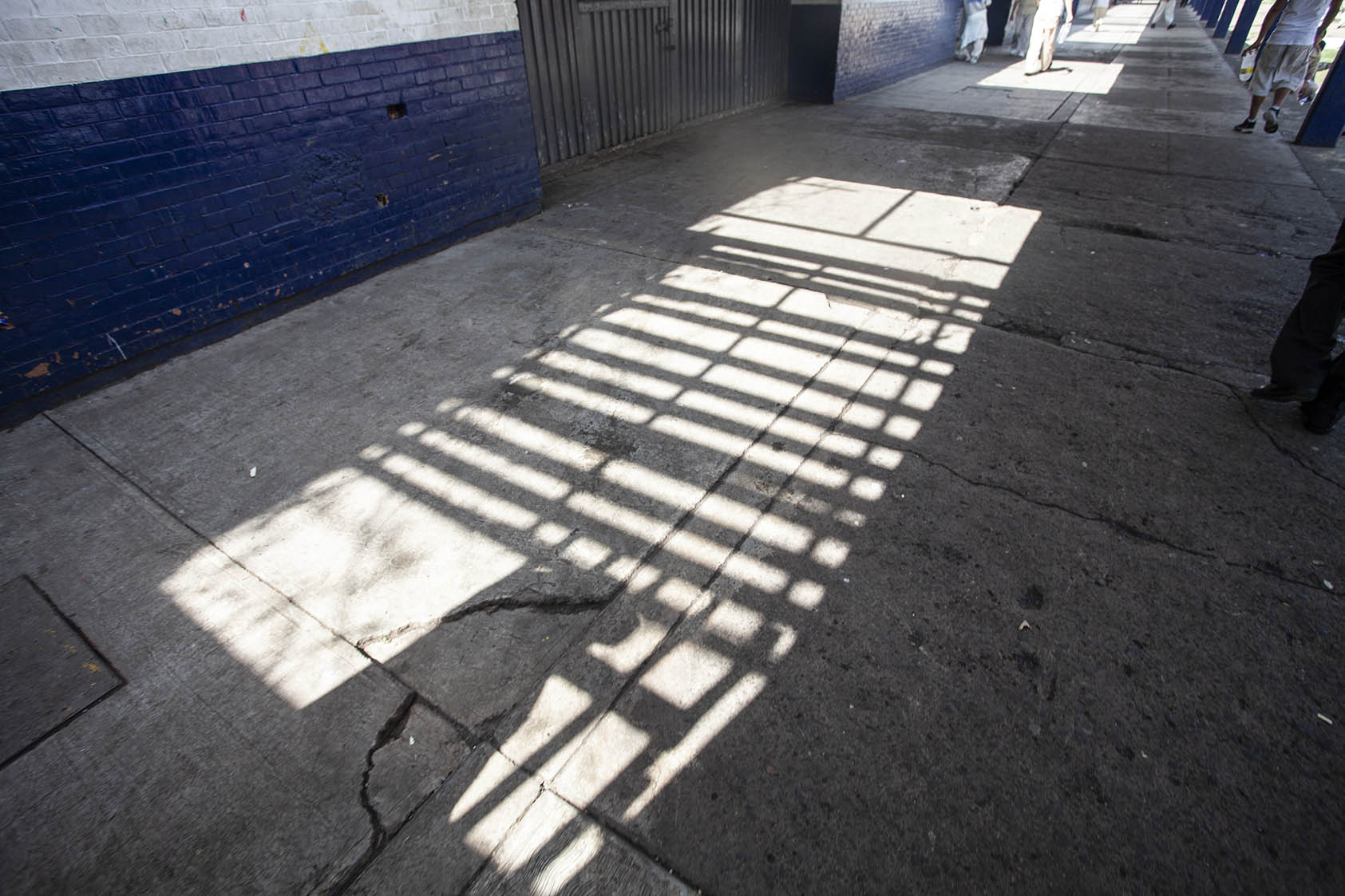 La imagen y su fuego - img-1863