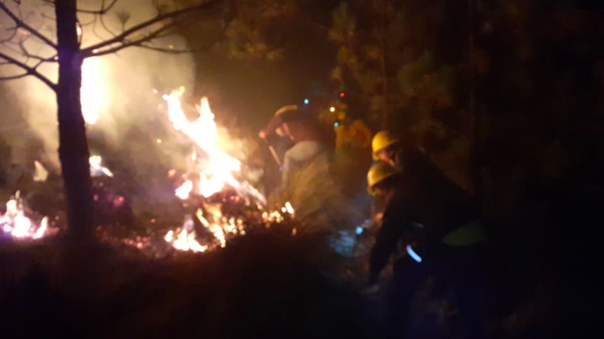 Controlan incendio en el Ajusco tras afectaciones en pastizales