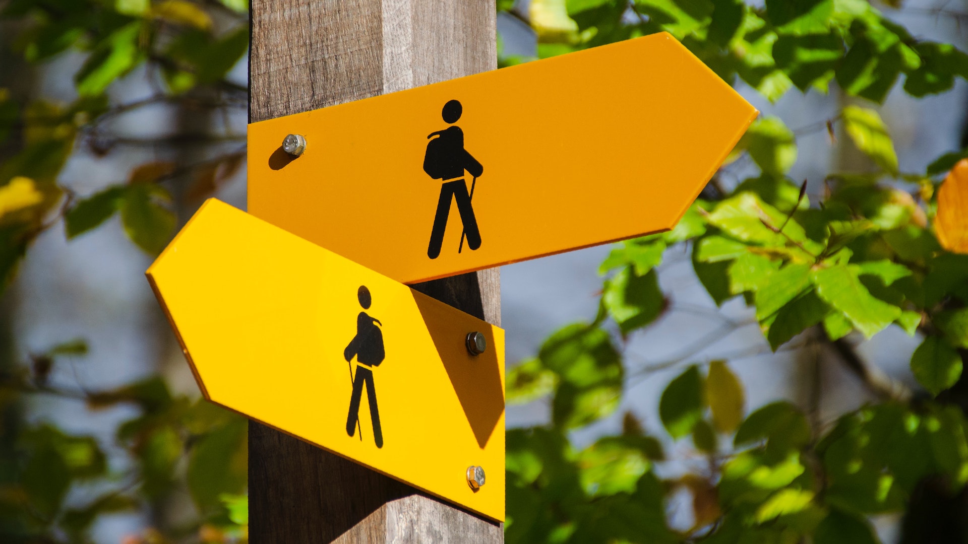 Lidiar con la incertidumbre, por Juan Ramón De la Fuente