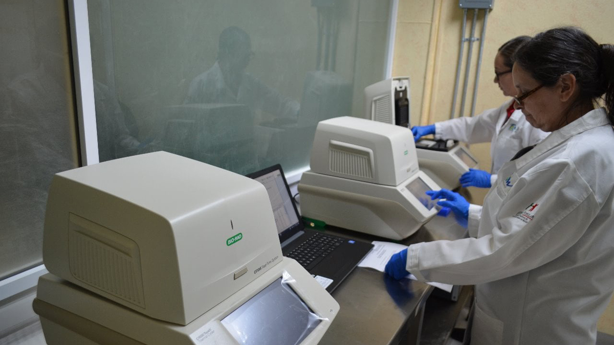 Confirma Tamaulipas segundo caso de variante británica de COVID-19