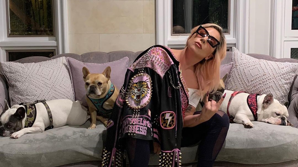 Sentencian a 21 años de cárcel a hombre que robó los perros de Lady Gaga - lady-gaga-con-sus-tres-perros