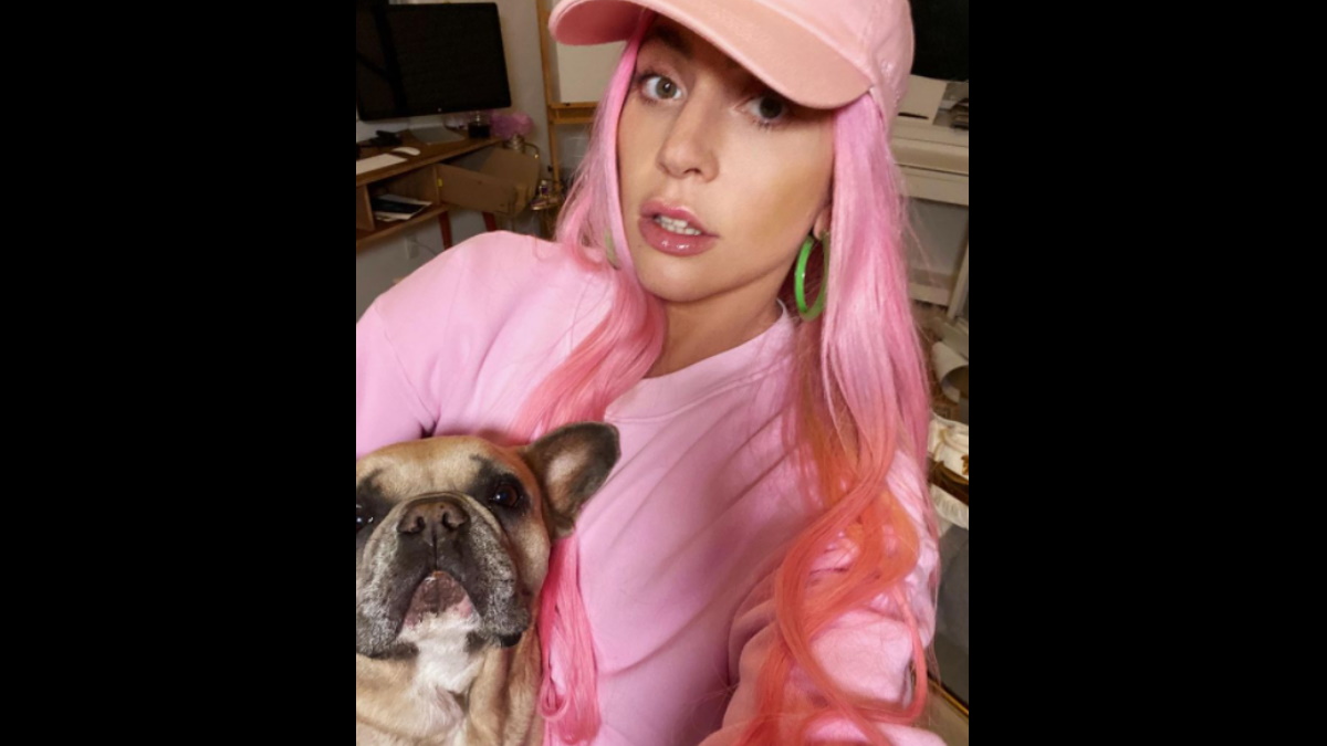 Sentencian a 21 años de cárcel a hombre que robó los perros de Lady Gaga - lady-gaga