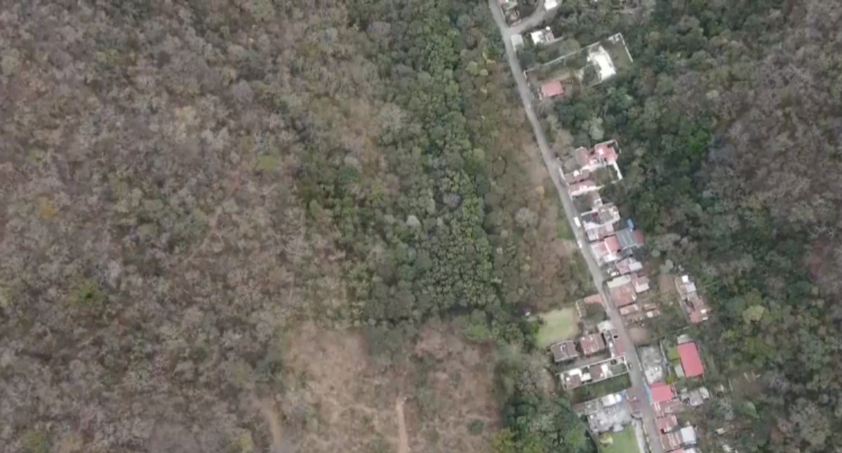 Guatemala perdió una cuarta parte de su cobertura forestal en los últimos 20 años