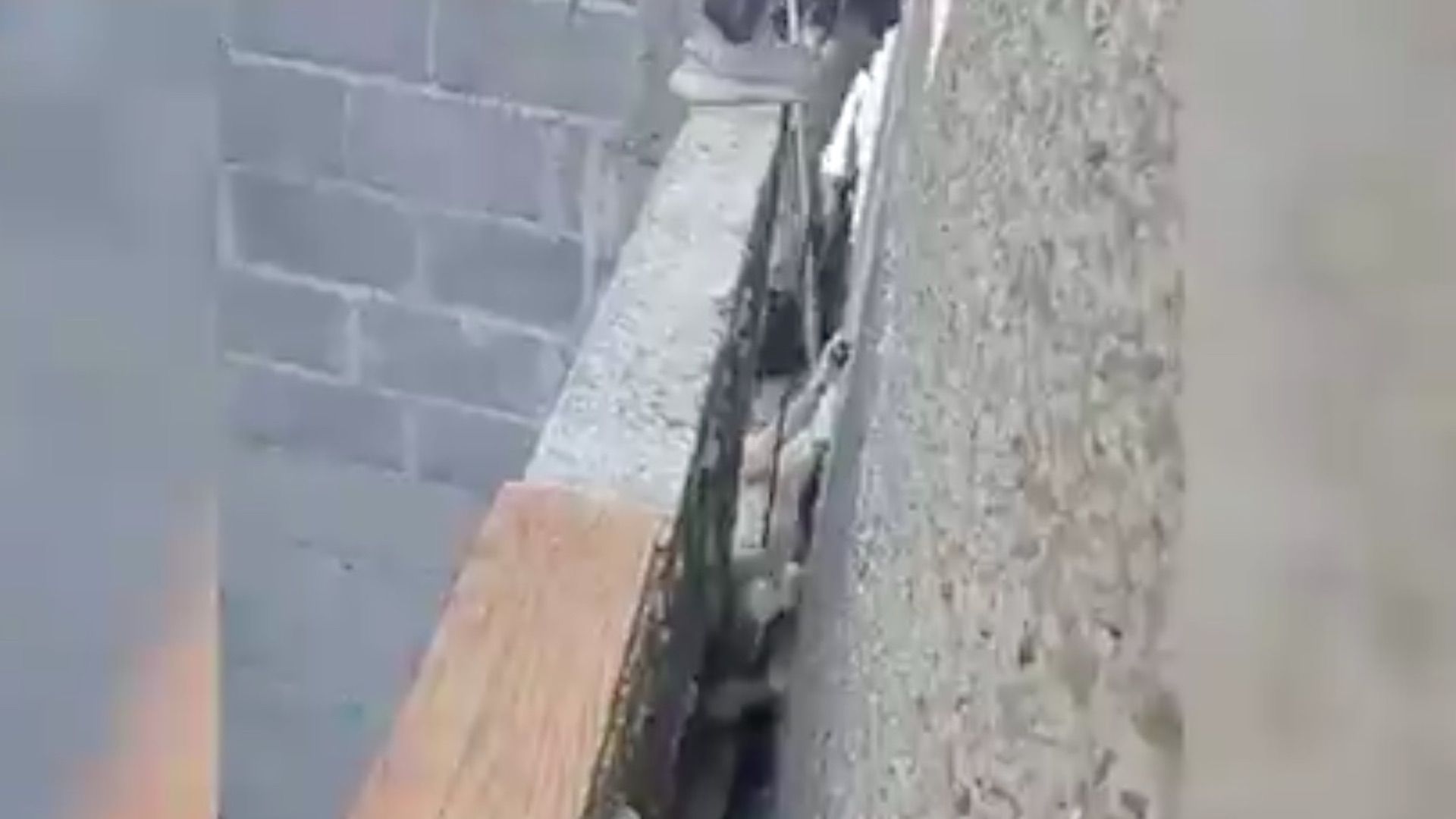 #Video Rescatan a perro que quedó atrapado en una barda en Tláhuac