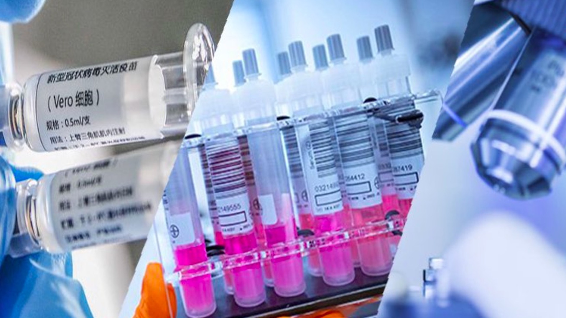 Prevención de pandemias se construye en el terreno de la anticipación, advierte experto de la UNAM