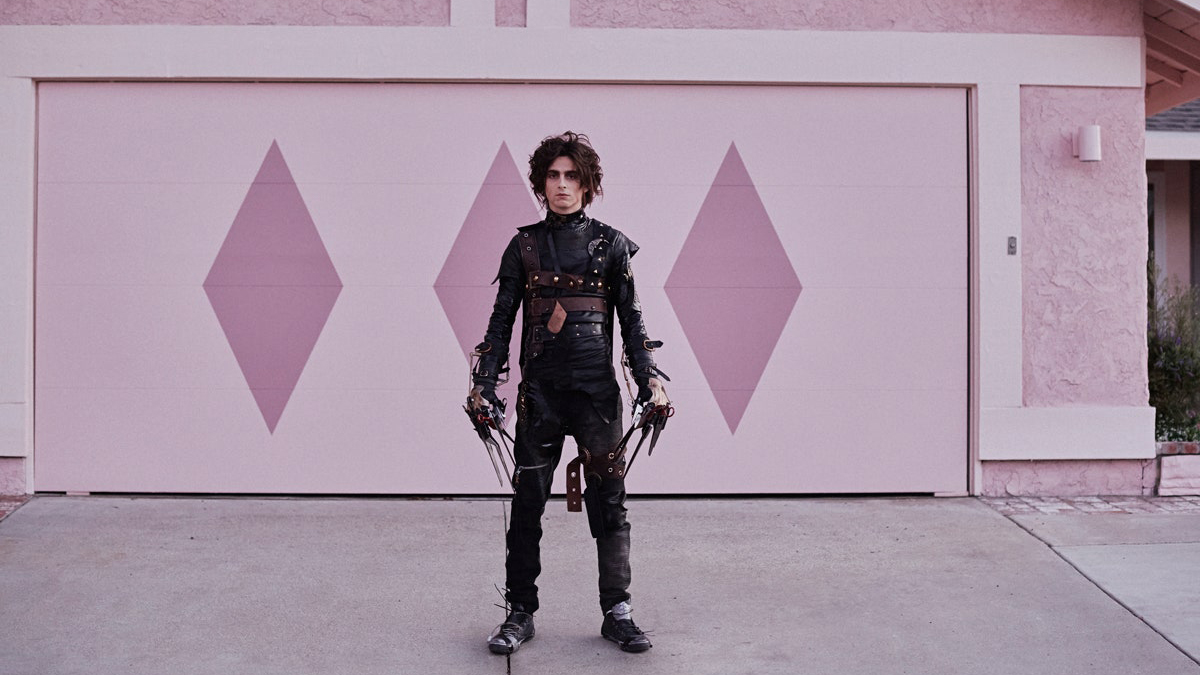 #Video Timothée Chalamet se convierte en hijo del 'Joven manos de tijeras' para el Super Bowl LV - timothee-chalamet-como-edgar-hijo-del-joven-manos-de-tijeras