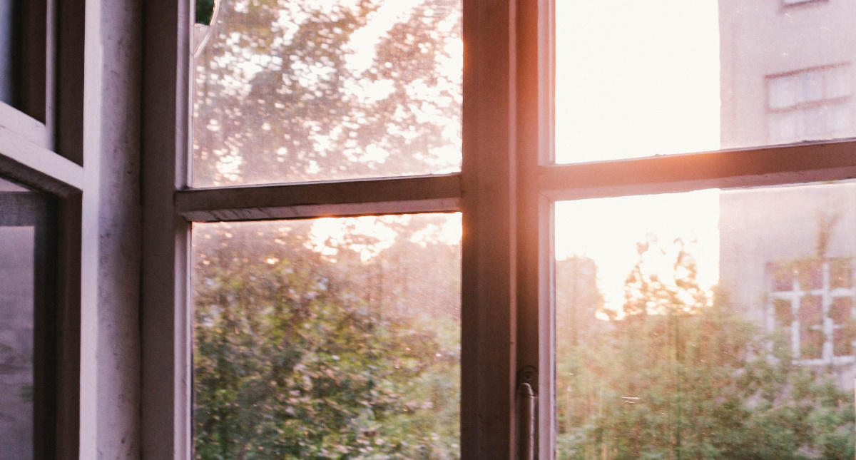 “Serendipia: descubrir las maravillas a nuestro alrededor”, el análisis del Dr. José Antonio Lozano Díez