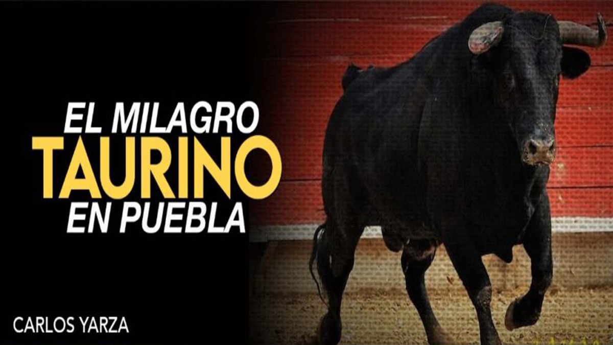 El milagro taurino en Puebla - whatsapp-image-2021-02-19-at-182616