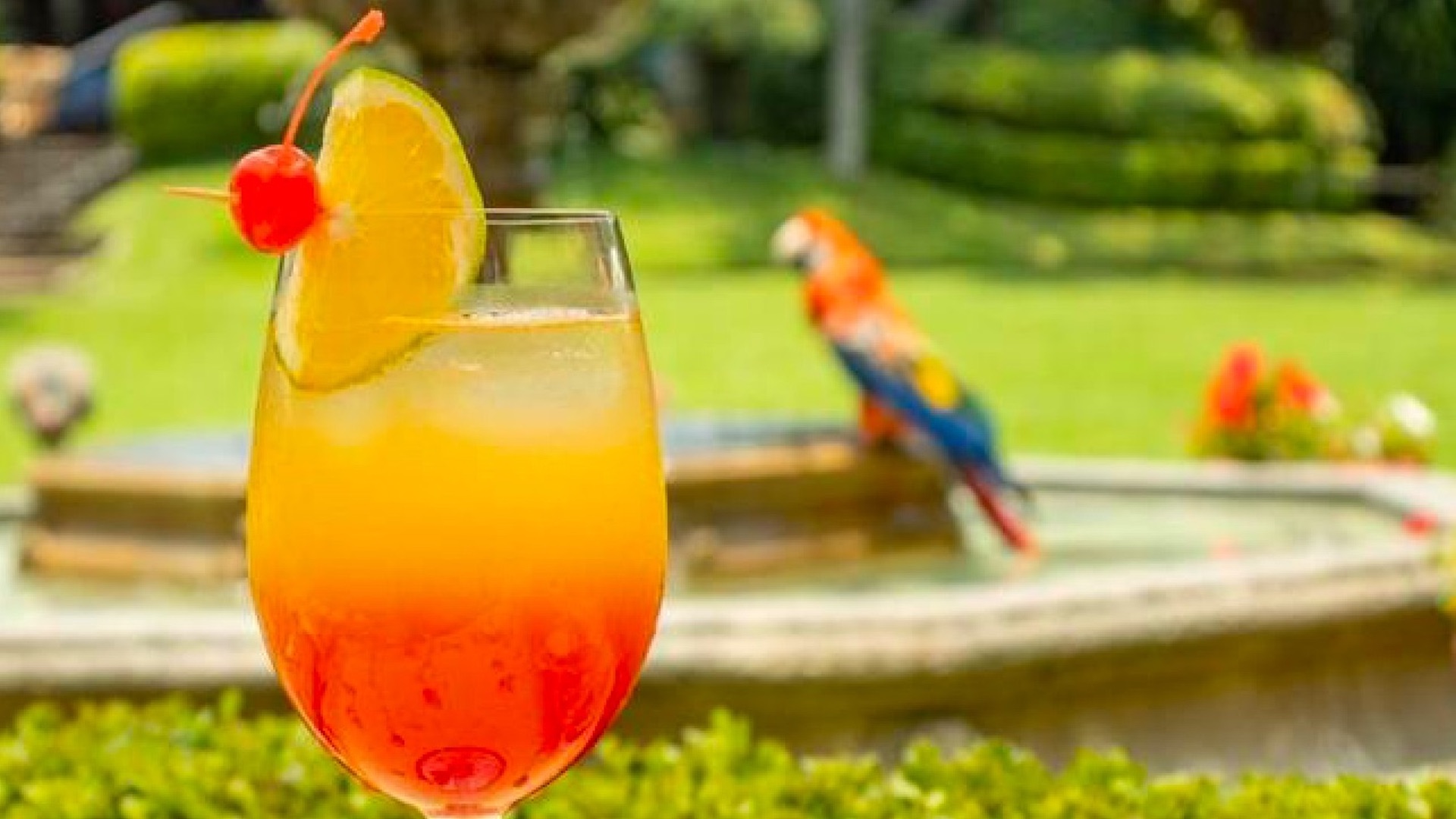 Las Mañanitas de Cuernavaca, Morelos, un lugar fascinante y de prestigio - bebida