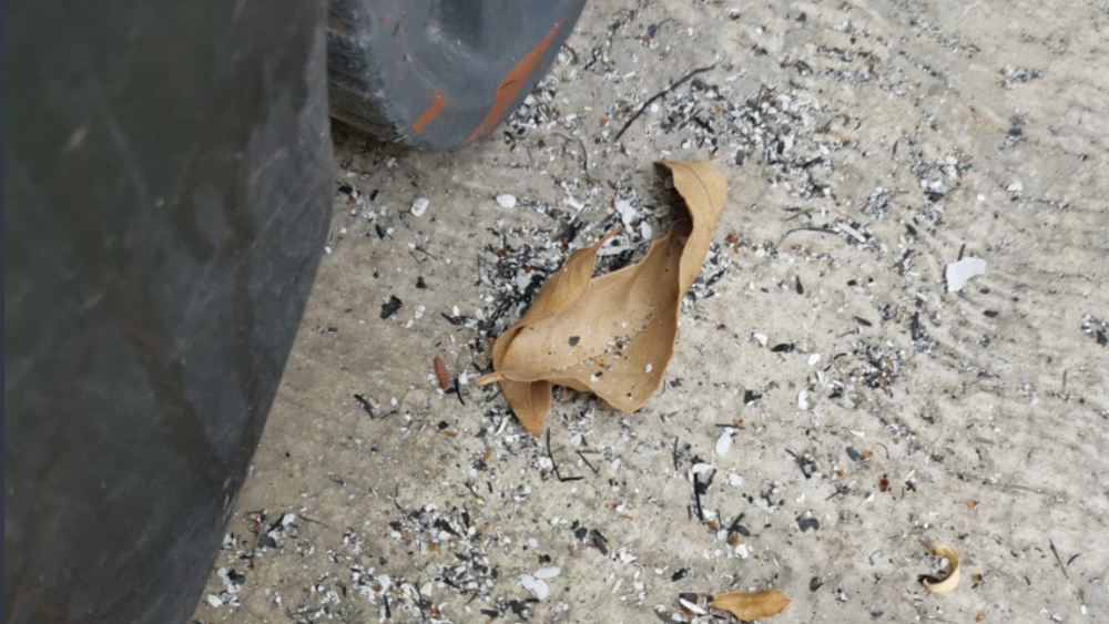 #Videos Caída de Ceniza en municipios de Nuevo León por incendios forestales