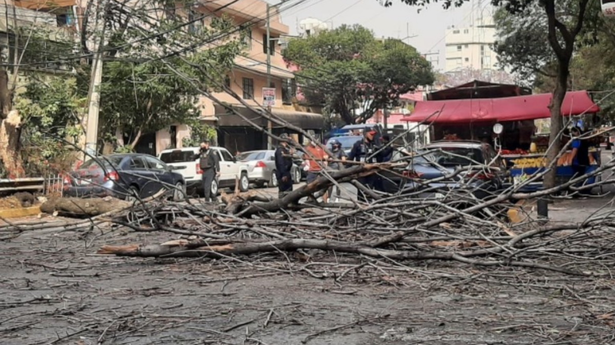 Reportan caída de árboles y cables tras fuertes vientos en el Valle de México
