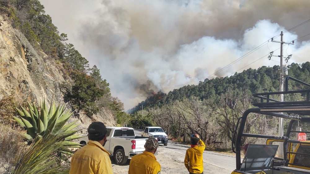 México vive una de sus peores temporadas de incendios forestales en años