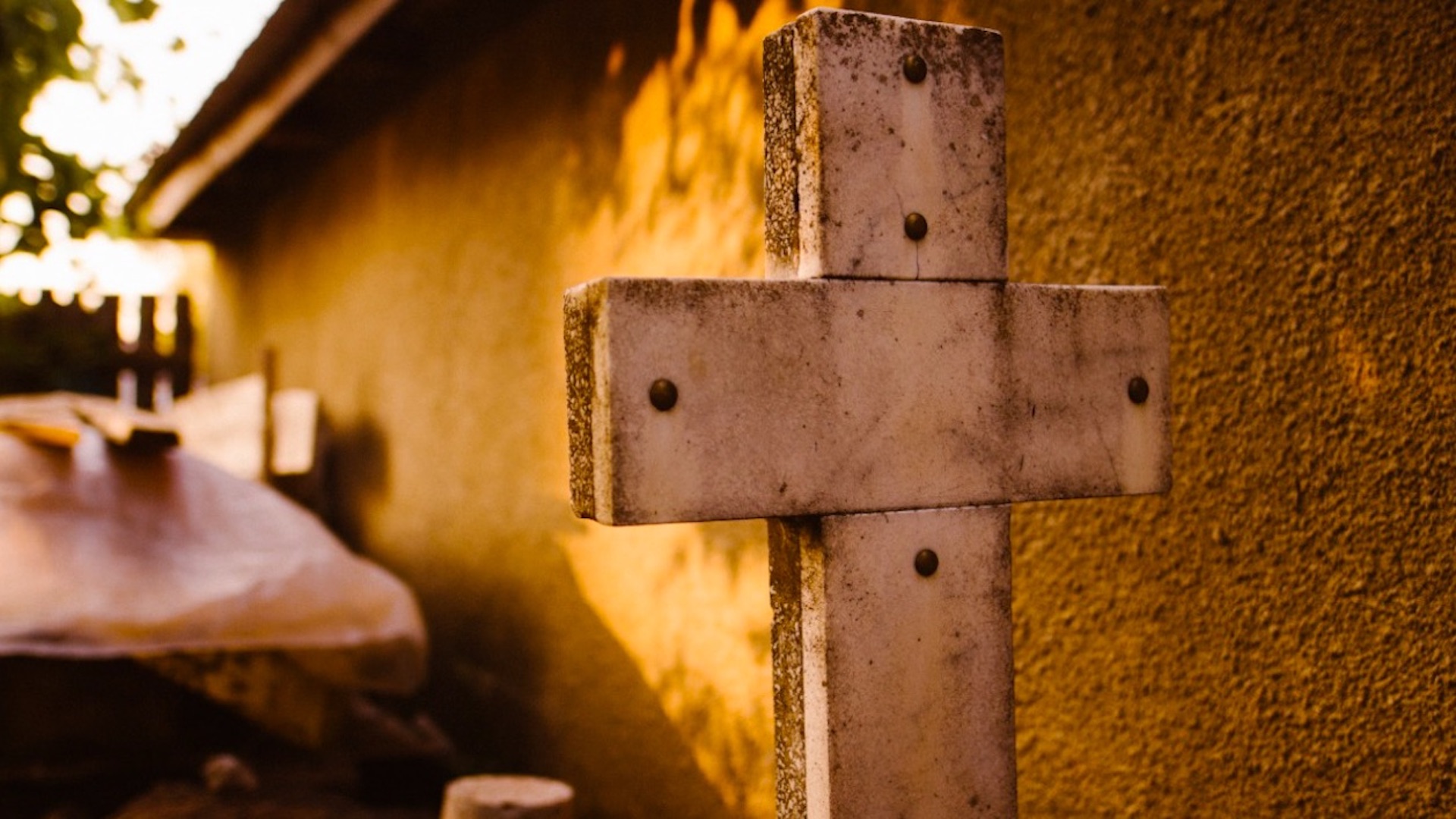 Desarrollan ataúdes a base de desperdicios