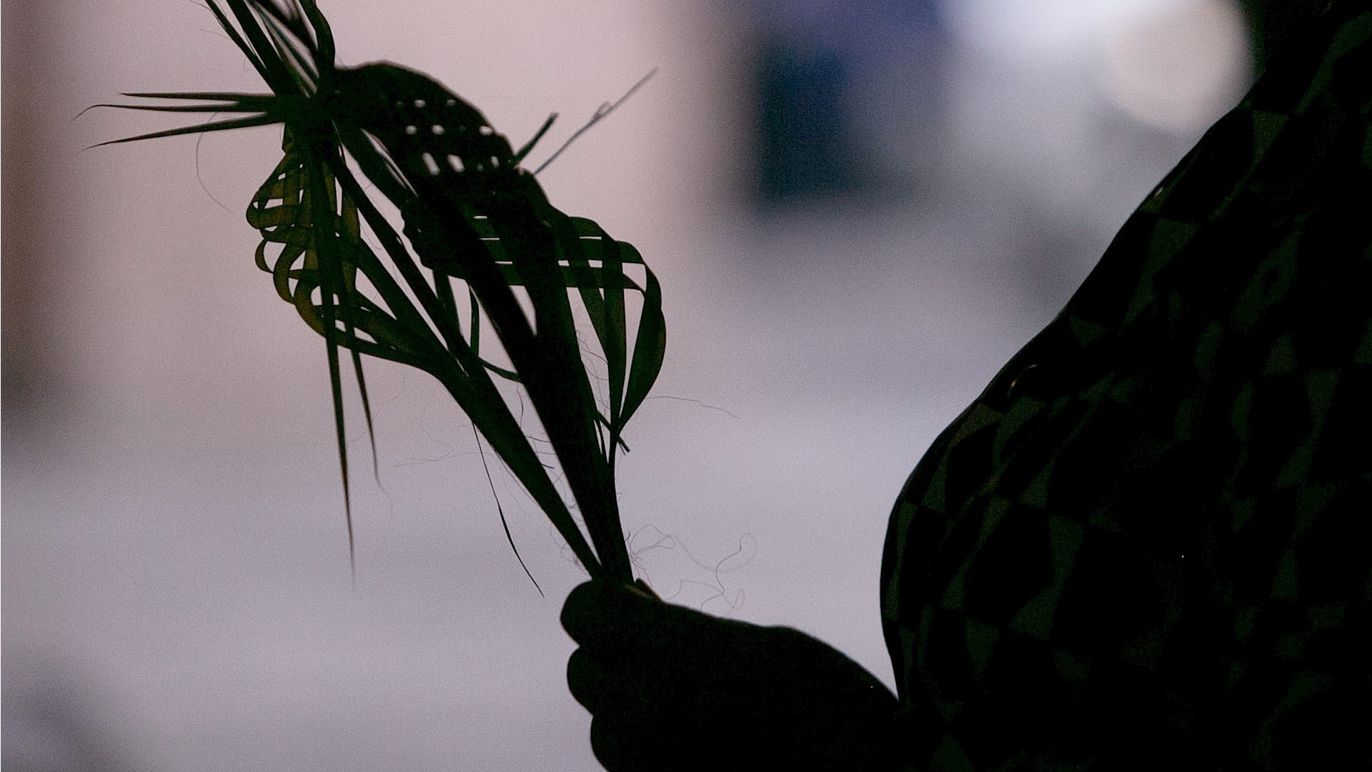 Fieles mexicanos arrancan Semana Santa con Domingo de Ramos híbrido
