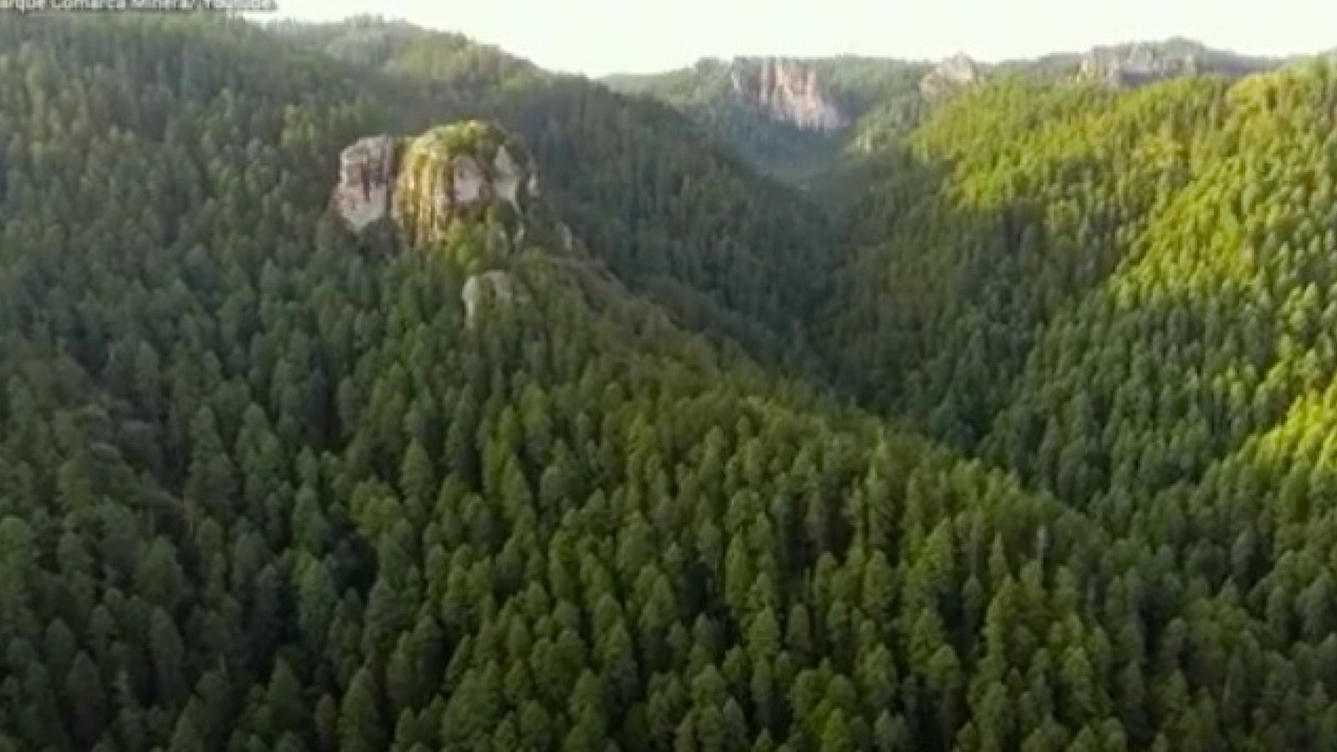 Cuidan el medio ambiente, procesan basura y producen composta en geoparque