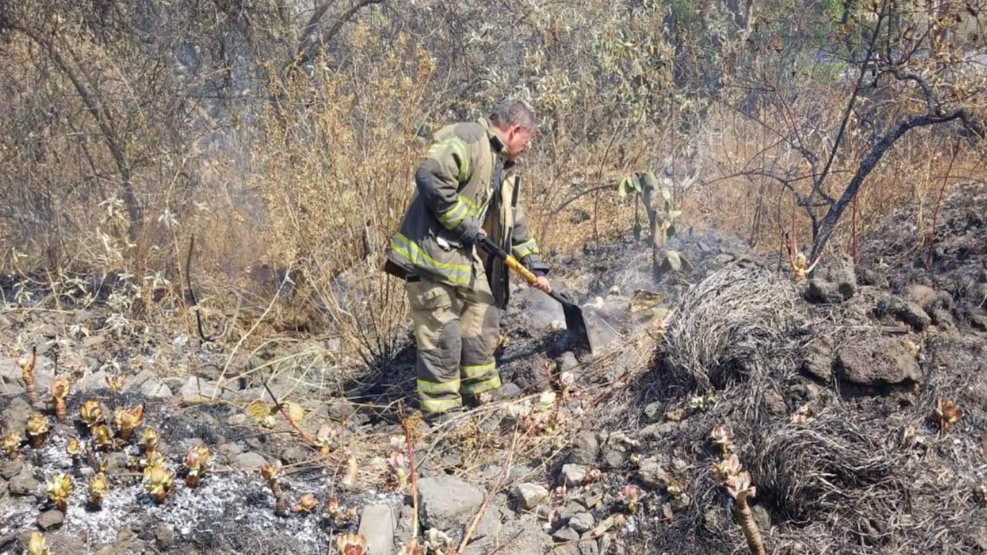 Se ha controlado 80 por ciento del incendio en la colonia Fuentes del Pedregal