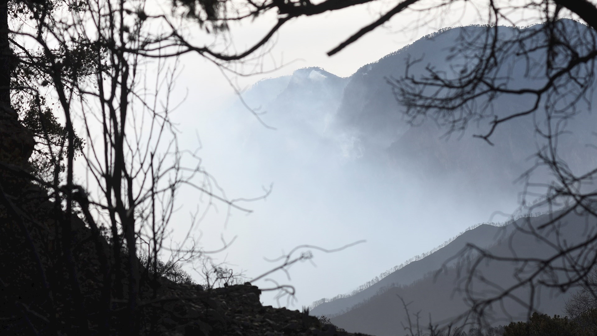 Carne asada en cabaña habría desatado incendio en Sierra de Arteaga