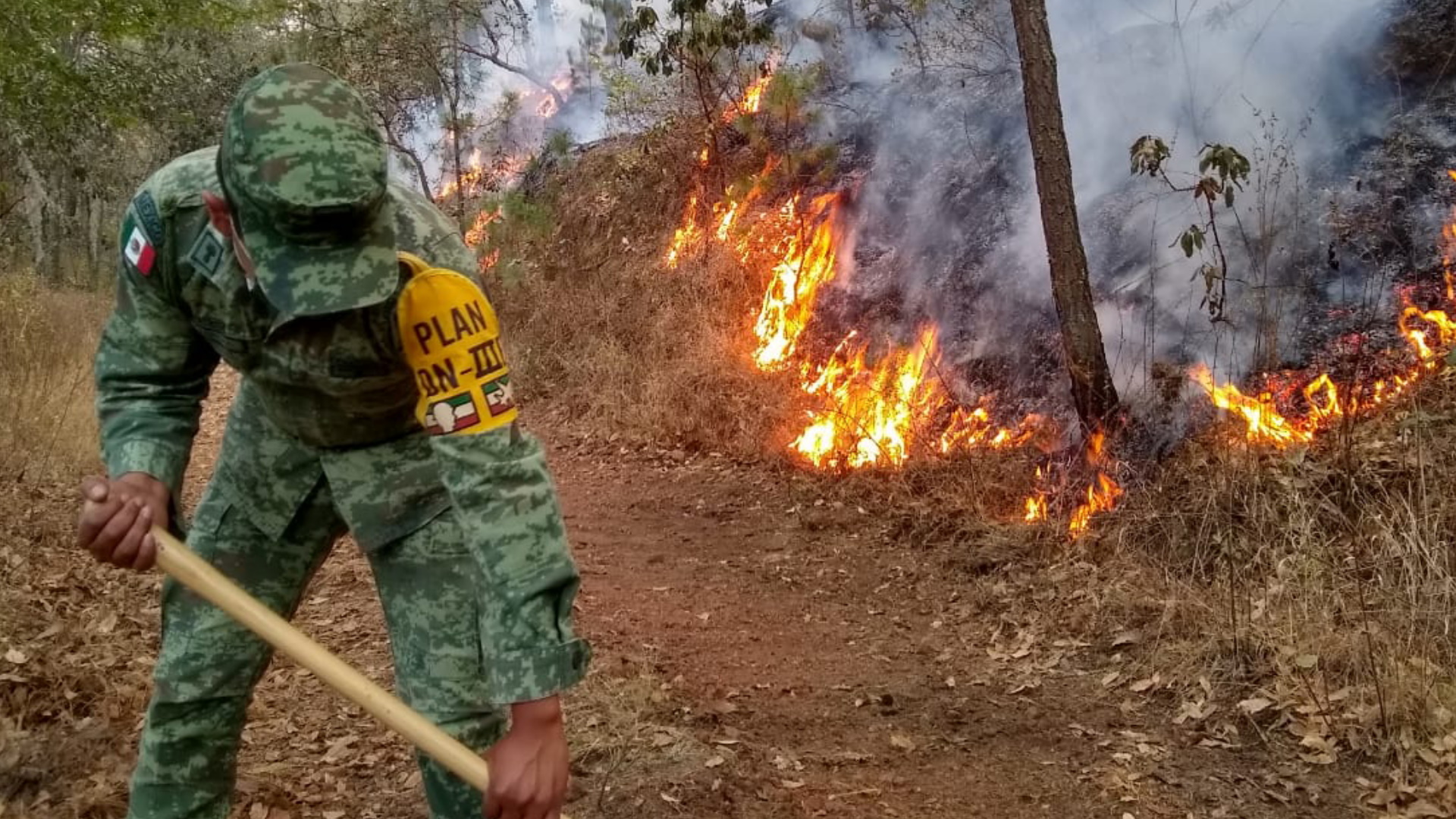 Carne asada en cabaña habría desatado incendio en Sierra de Arteaga - incendios-coahuila-nuevo-leon