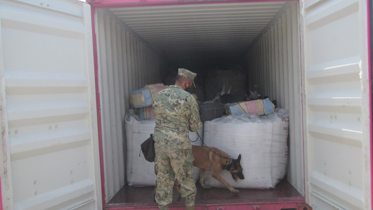 Aseguran 334 kilos de cocaína en puerto de Lázaro Cárdenas, Michoacán