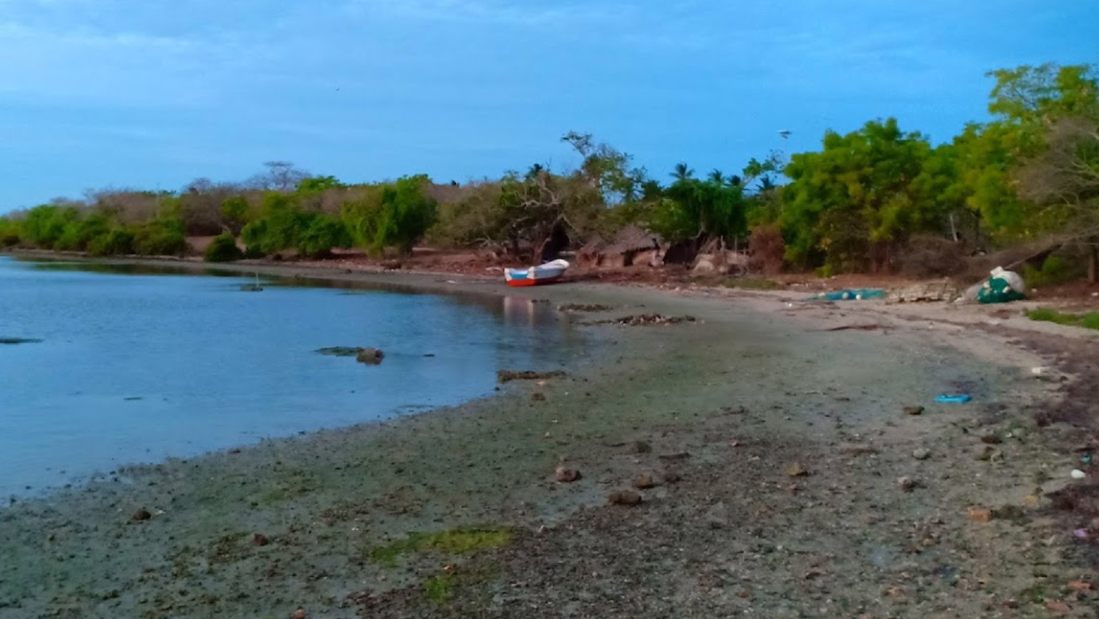 Sri Lanka enterrará a los muertos por COVID-19 en una isla remota