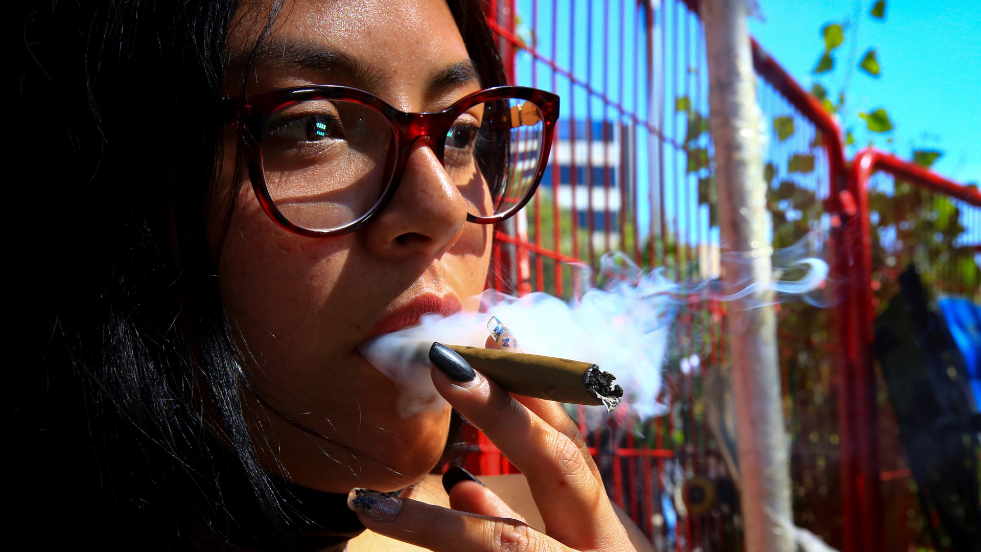 Consumidores de mariguana aguardan decisión de la Suprema Corte Consumidores de mariguana aguardan decisión de la Suprema Corte