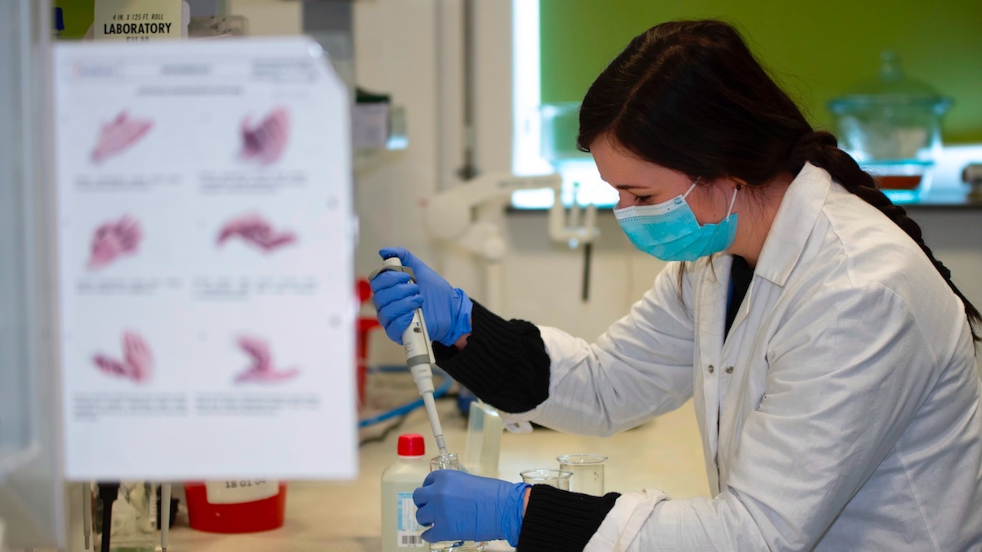 Un virus modificado genéticamente ayuda a combatir el cáncer páncreas avanzado Un virus modificado genéticamente ayuda a combatir el cáncer páncreas avanzado