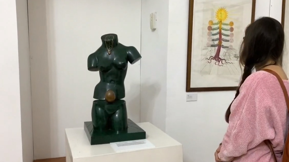 Moscú expone más de 250 obras de Dalí y Picasso de una colección privada