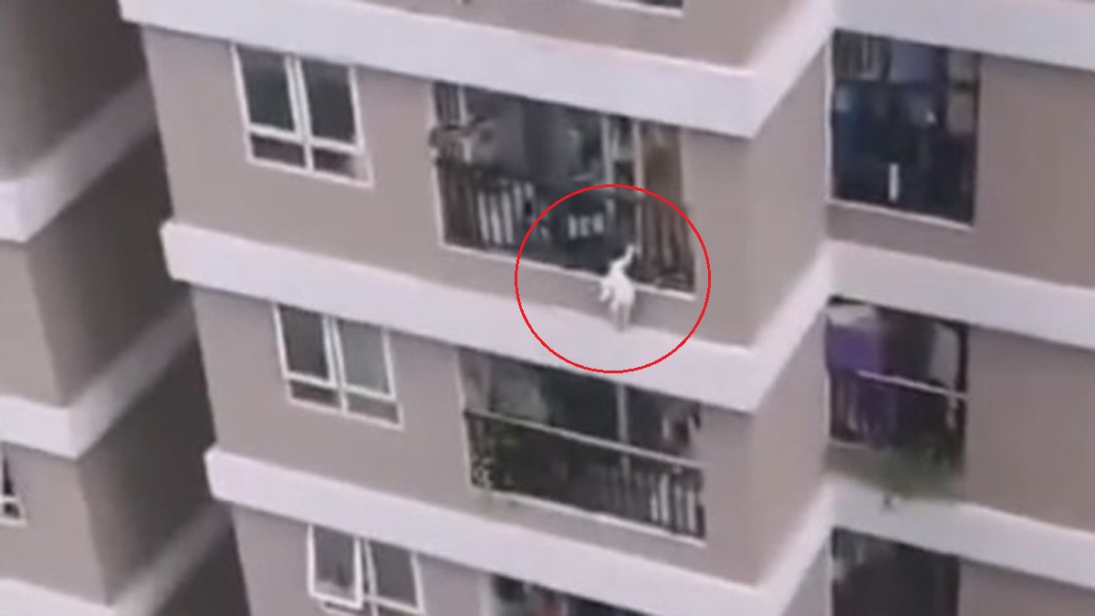 #Video Mensajero salva a niña que cayó desde el piso 12 de edificio