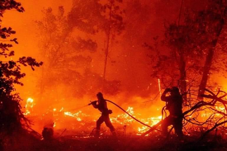 Sin tregua - opinion-sin-tregua-2