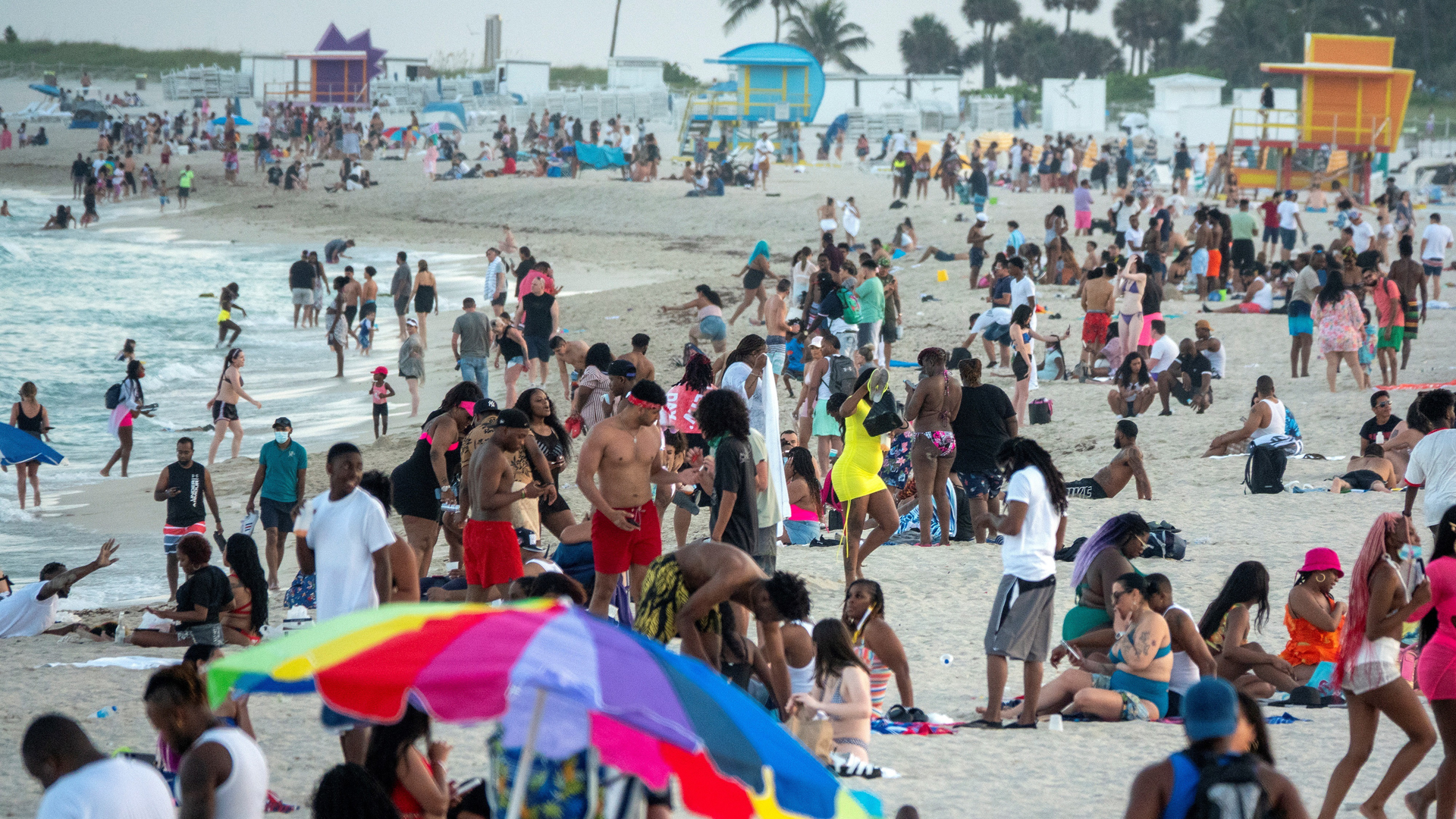 Suman ocho muertos en EE.UU. por bacteria carnívora