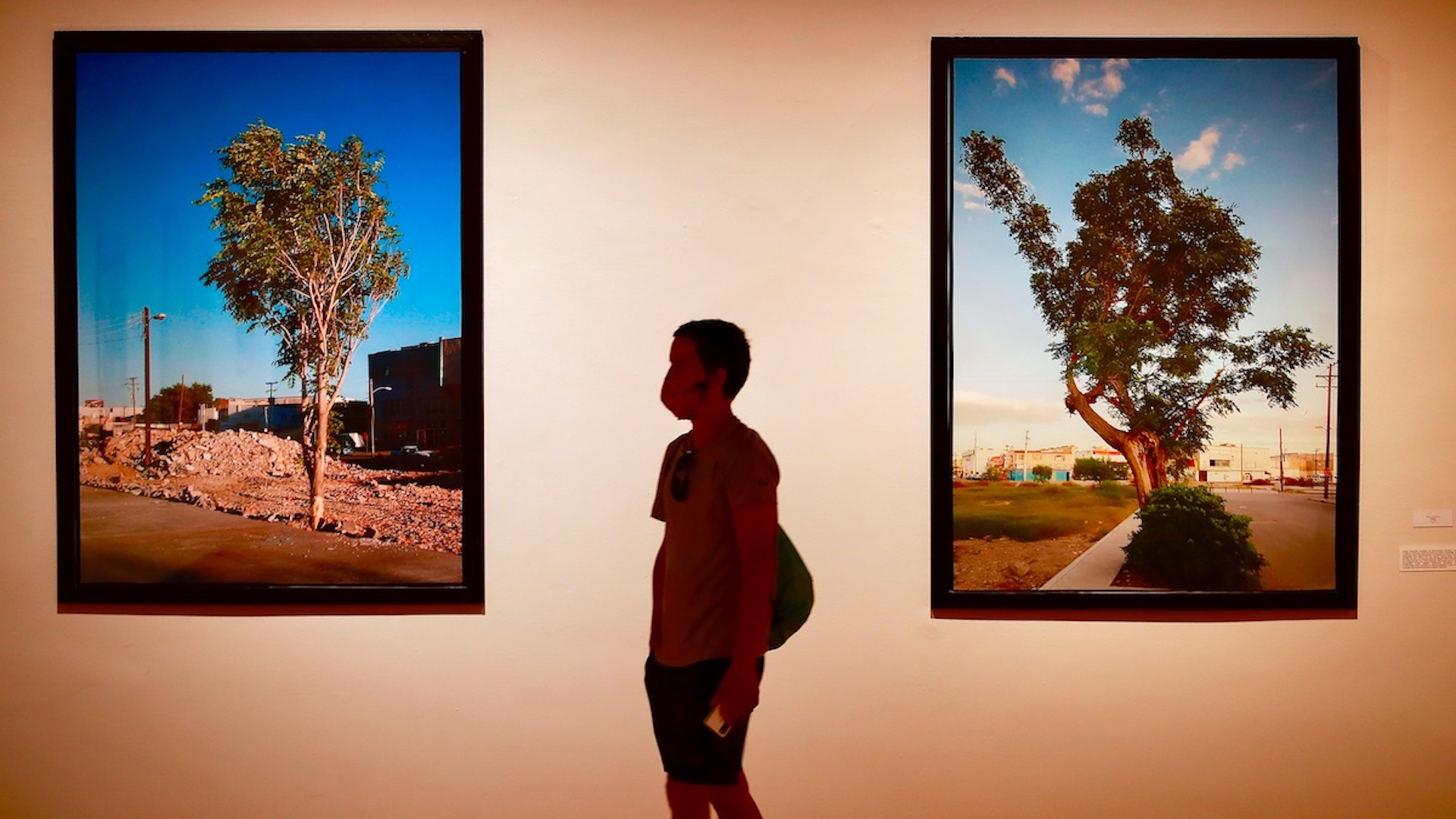 Museos de la Ciudad de México inician reapertura tras dos meses de cierre Museos de la Ciudad de México inician reapertura tras dos meses de cierre