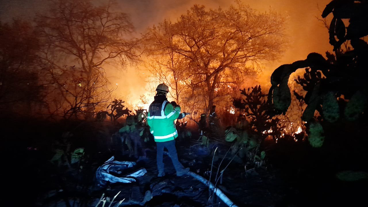Controlan incendio en pastizales de Fuentes del Pedregal