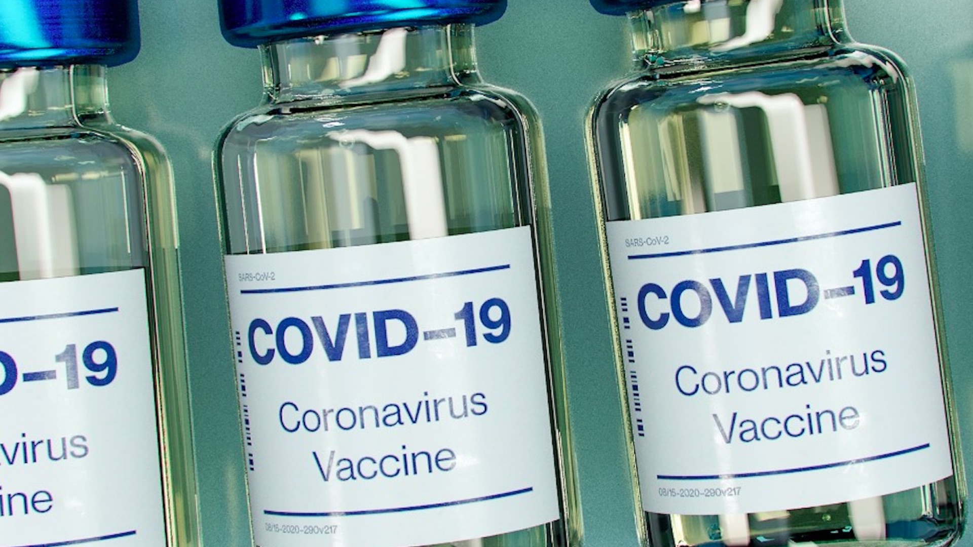 Vacuna mexicana contra COVID-19 estaría lista antes de finalizar 2021: Jorge Alcocer - vacuna-contra-el-covid-19