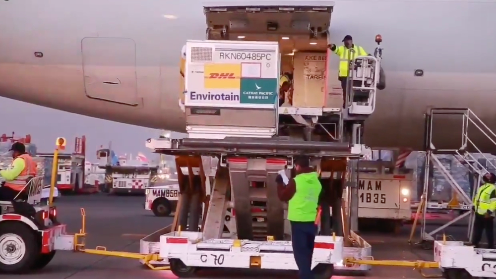 Llegan a México tres millones de vacunas de CanSino contra COVID-19