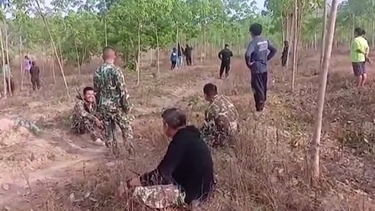 #Video Cría de elefante protege a su madre herida en Tailandia - veterinarios-y-rescatistas-en-espera-de-que-cria-de-elefante-se-calme