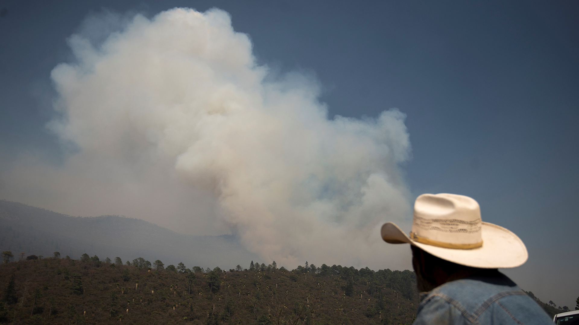 Declaran emergencia en Coahuila por incendio en Sierra de Arteaga; suman 4 mil hectáreas afectadas - vista-del-incendio-forestal-en-limites-de-coahuila-y-nl