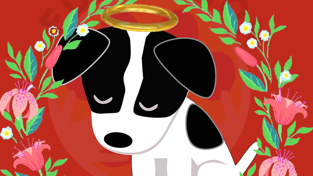 Queman vivo a cachorro de tres meses en León, Guanajuato