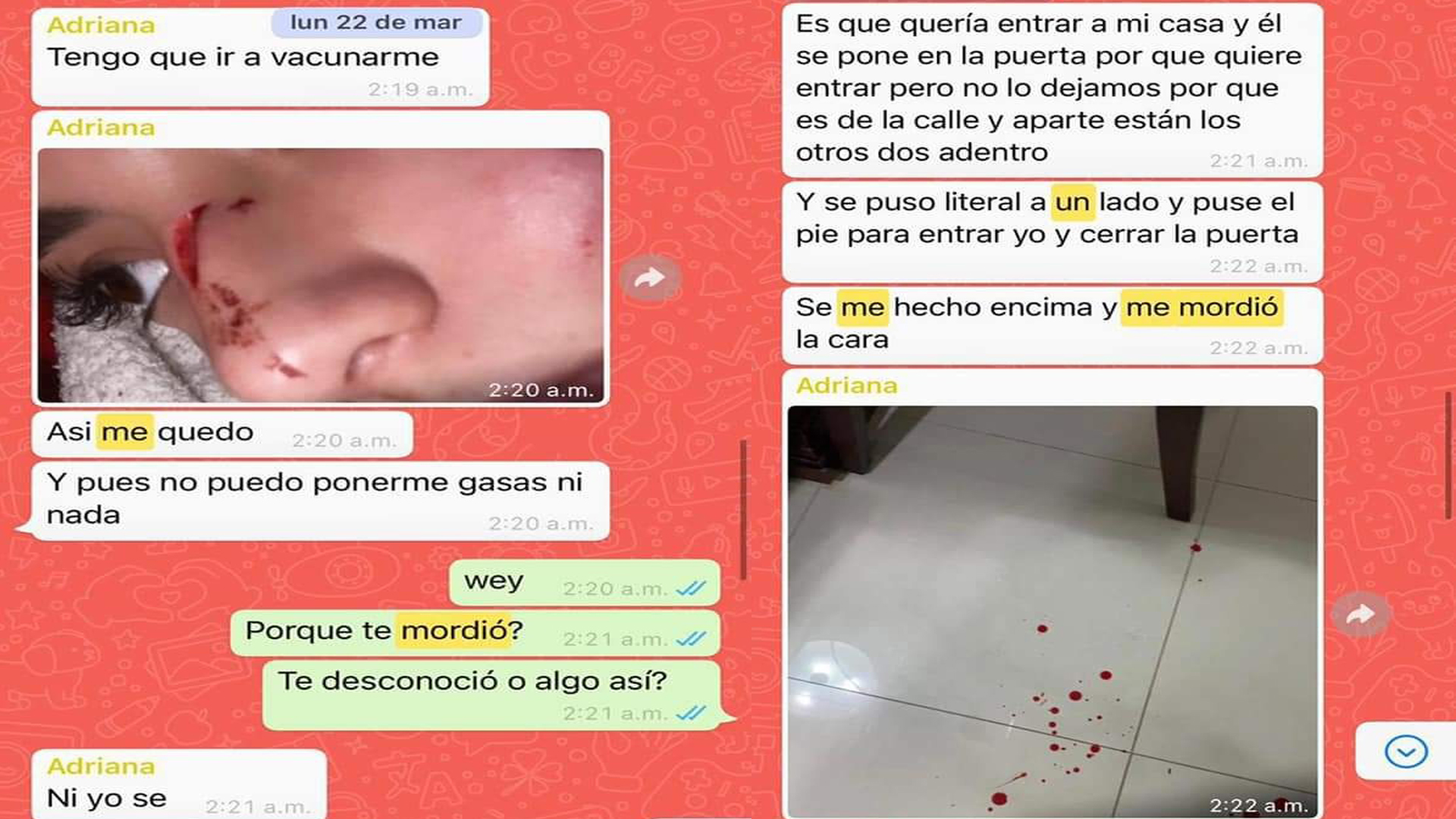 Novia de presunto asesino de Rodolfo Corazón revela agresión del perro; "no soy cómplice" del asesinato, afirma - chat-de-adriana-con-ana