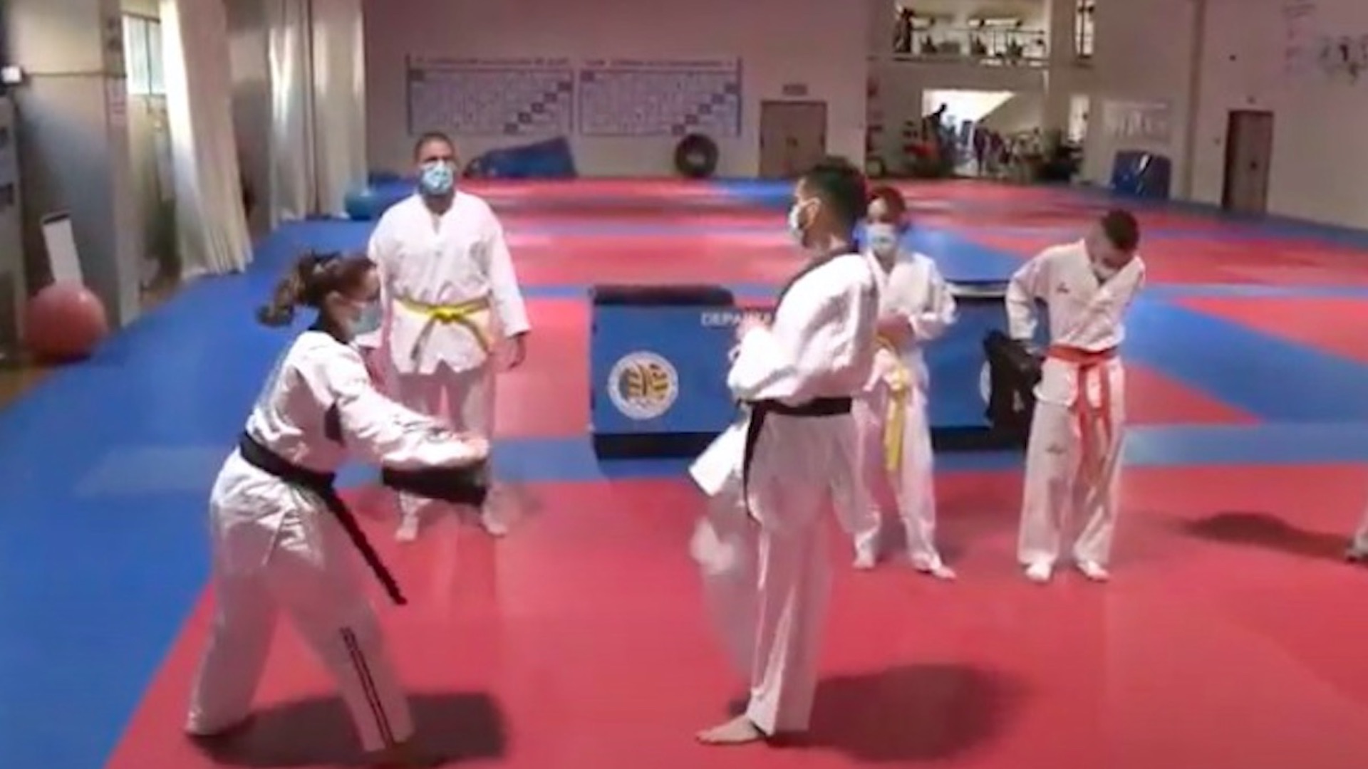 Valencia cuenta con el primer club LGTB de Taekwondo federado de España Valencia cuenta con el primer club LGTB de Taekwondo federado de España