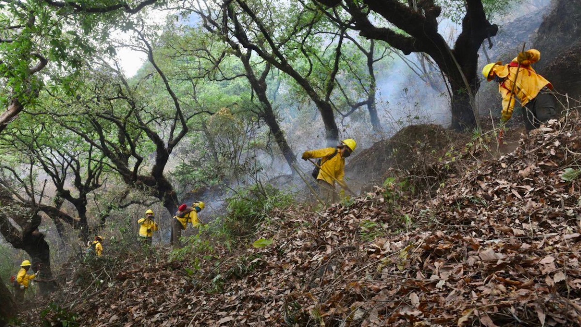 Se ha controlado el 70 por ciento de incendio en Tepoztlán Se ha controlado el 70 por ciento de incendio en Tepoztlán