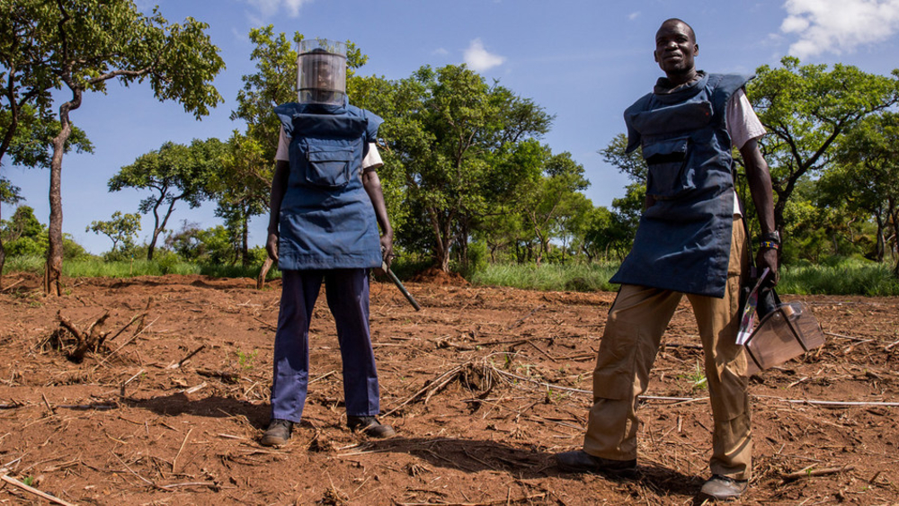 En Consejo de Seguridad de ONU, De la Fuente llama a eliminar minas terrestres antipersonal