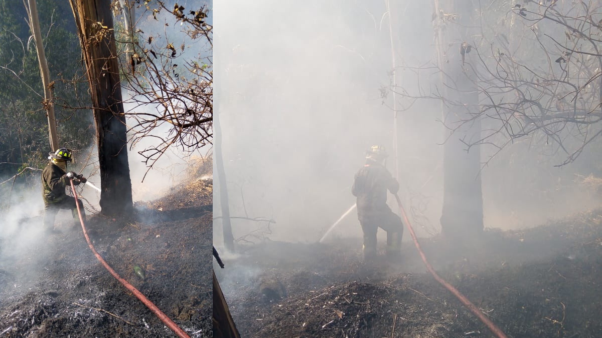 Bomberos controlan incendio en bosque de Chapultepec
