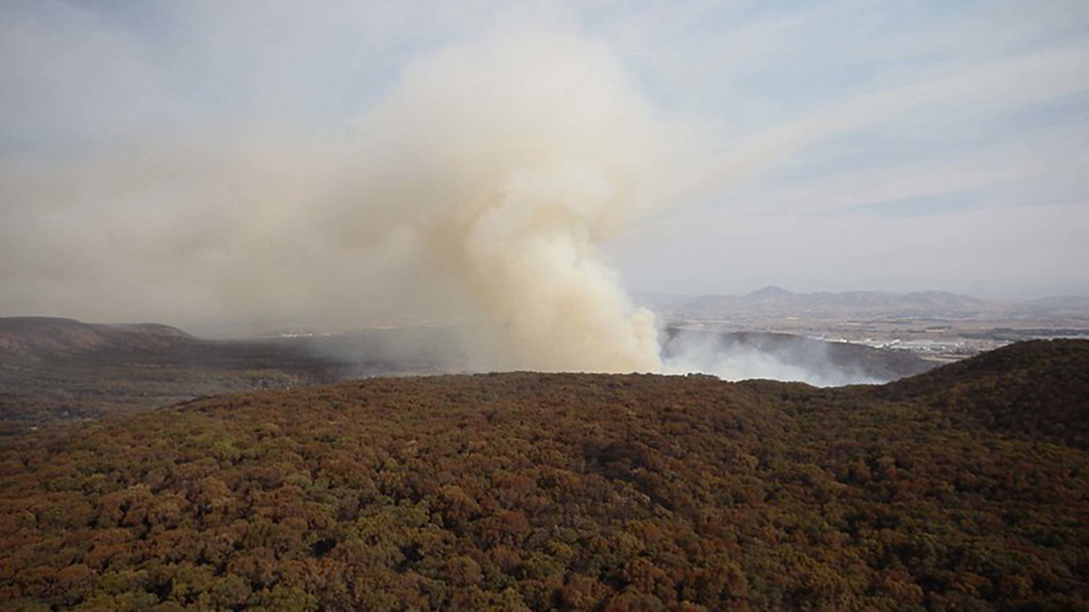 Extienden alerta atmosférica por incendio en el Bosque de la Primavera, Jalisco - incendio-en-bosque-la-primavera-de-jalisco