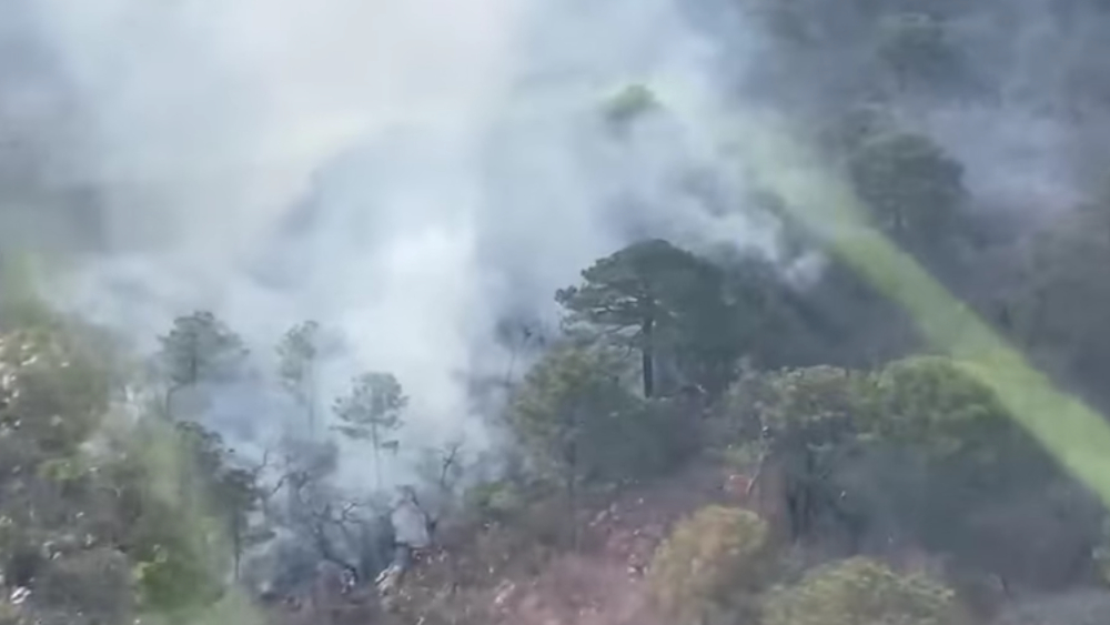 Se registra incendio forestal en Rayones, Nuevo León
