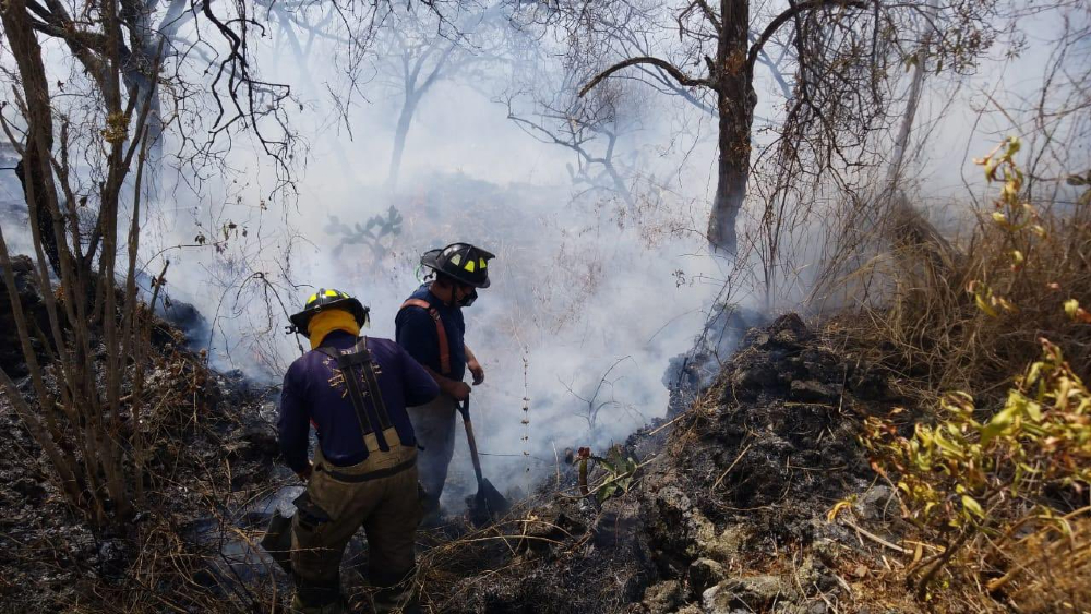 Incendio en Fuentes del Pedregal controlado al 100 por ciento, asegura Protección Civil