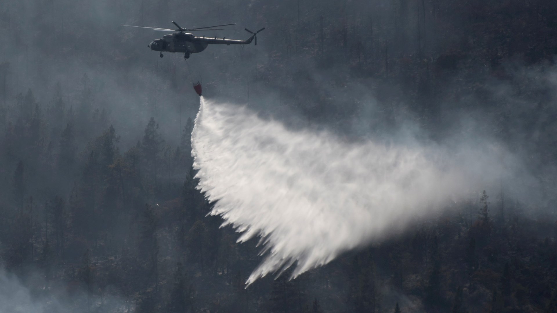 México, con 55 incendios forestales activos; afectan a 30 mil hectáreas